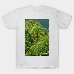 Iao Valley State Monument Study 3 T-Shirt